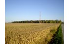 Property photo 9 - 202+/- Acres Offered in 7 Tracts